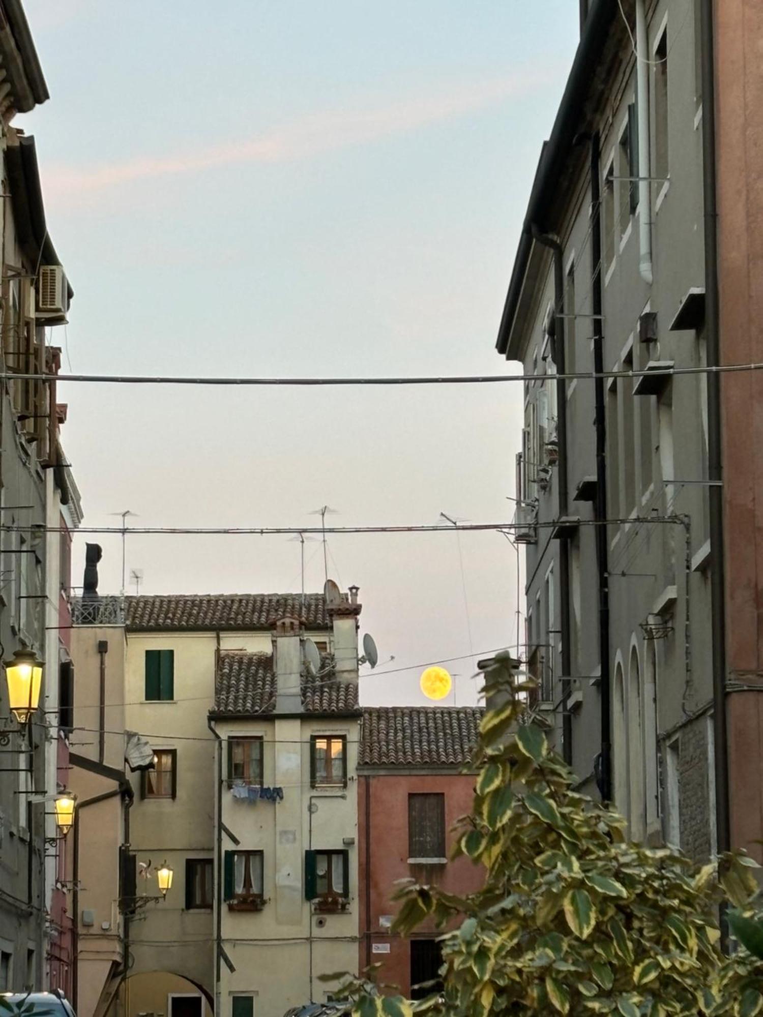 Ca' Donin - Centro Storico Apartment Чоджия Екстериор снимка